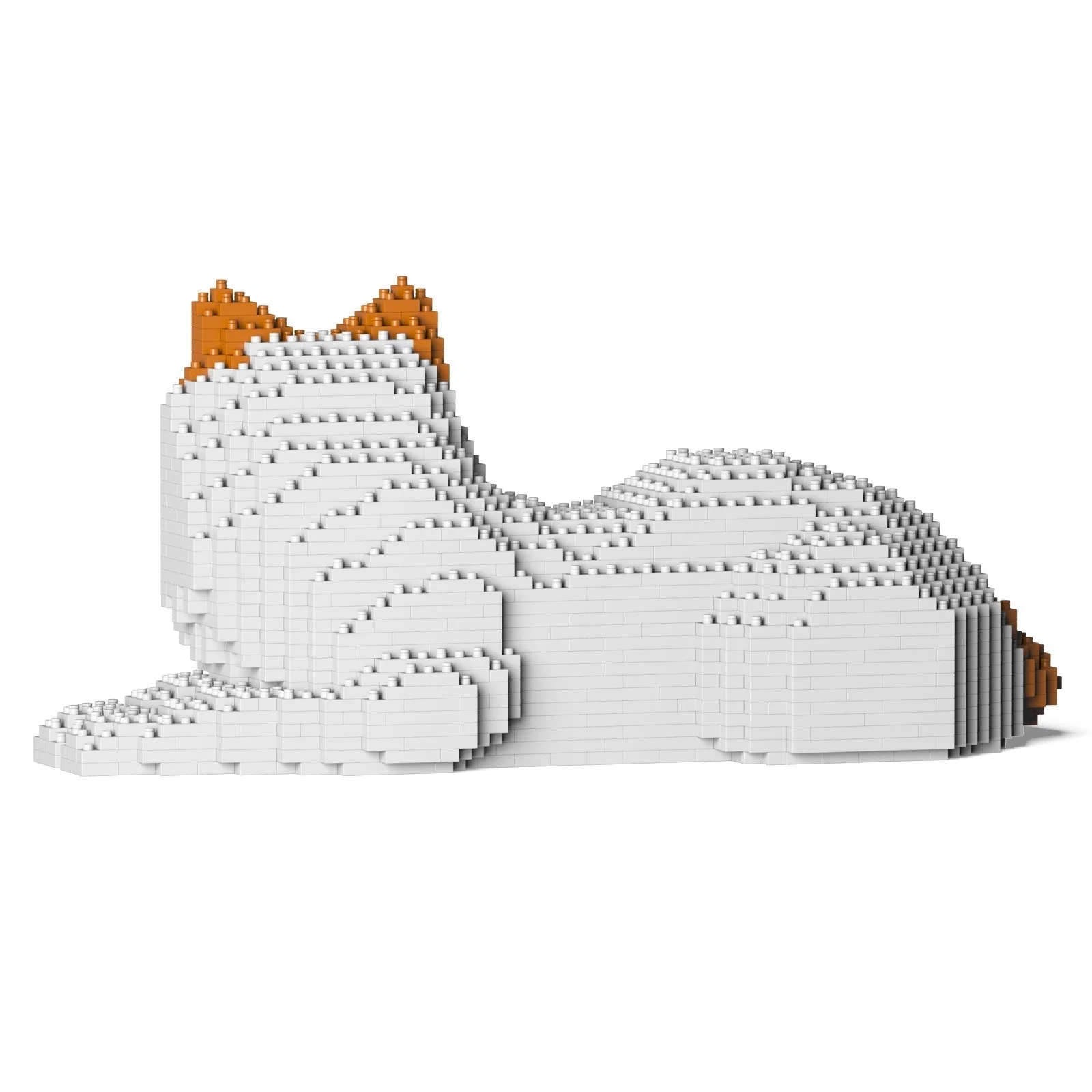 Ragdoll Cat 03S-M04 - Image 3