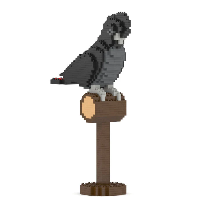 Red-tailed Black Cockatoo 01S - Image 3