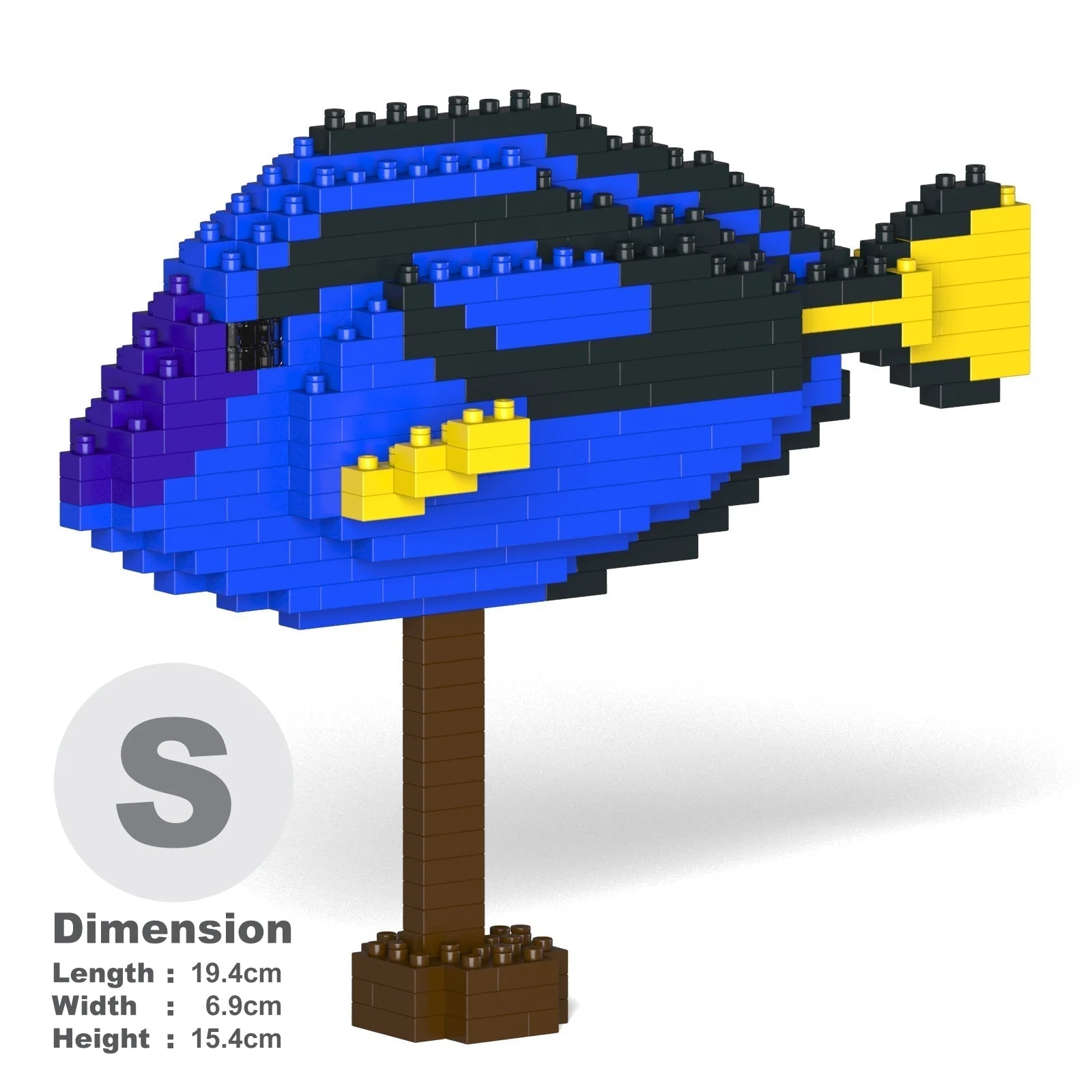Regal Tang 01 - Image 2