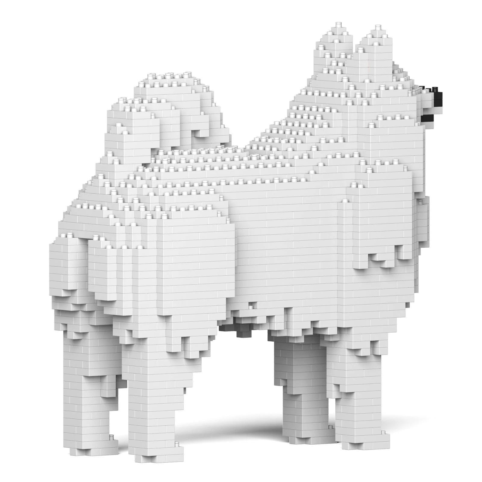 Samoyed 01 - Image 4