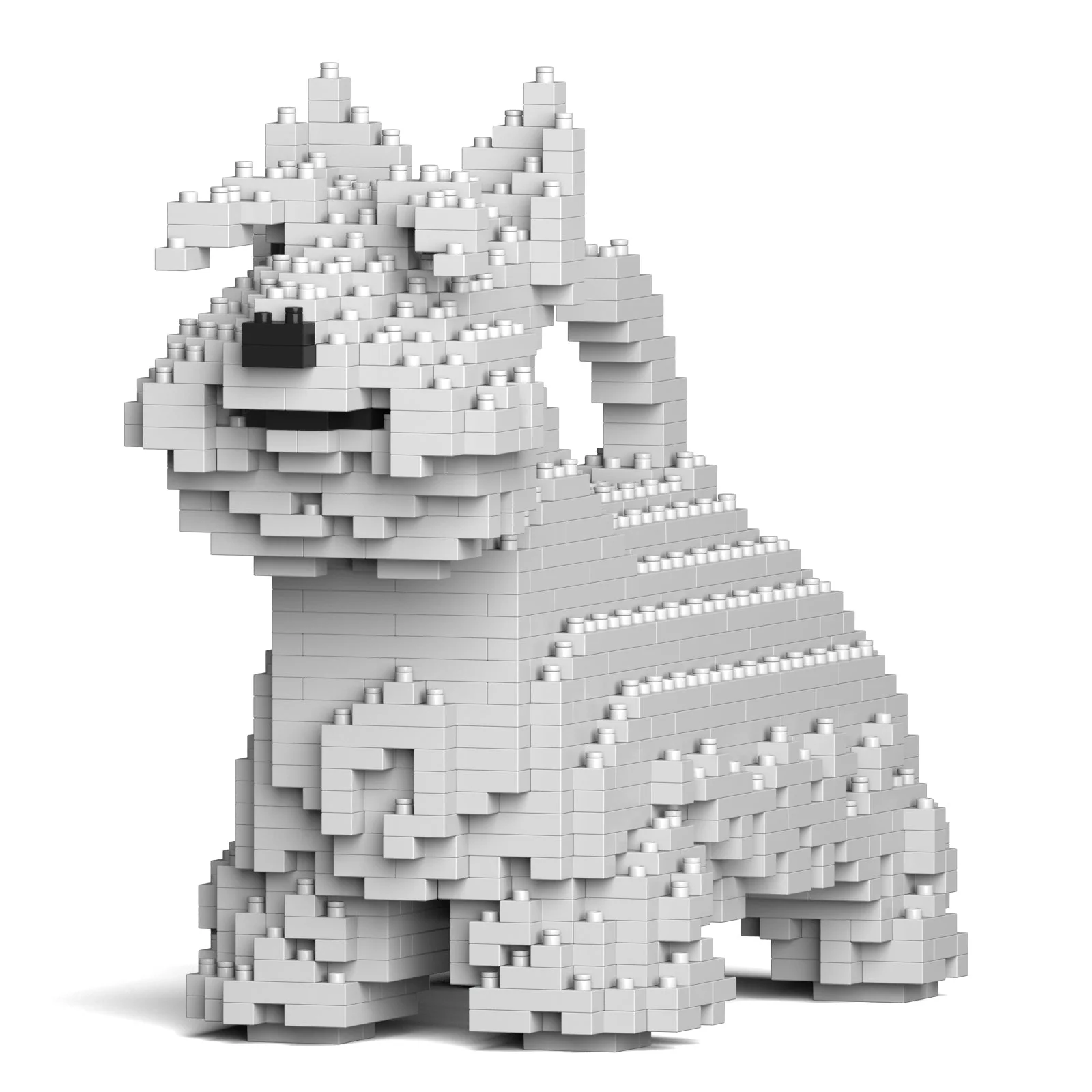 Scottish Terrier 01-M02 - Image 3