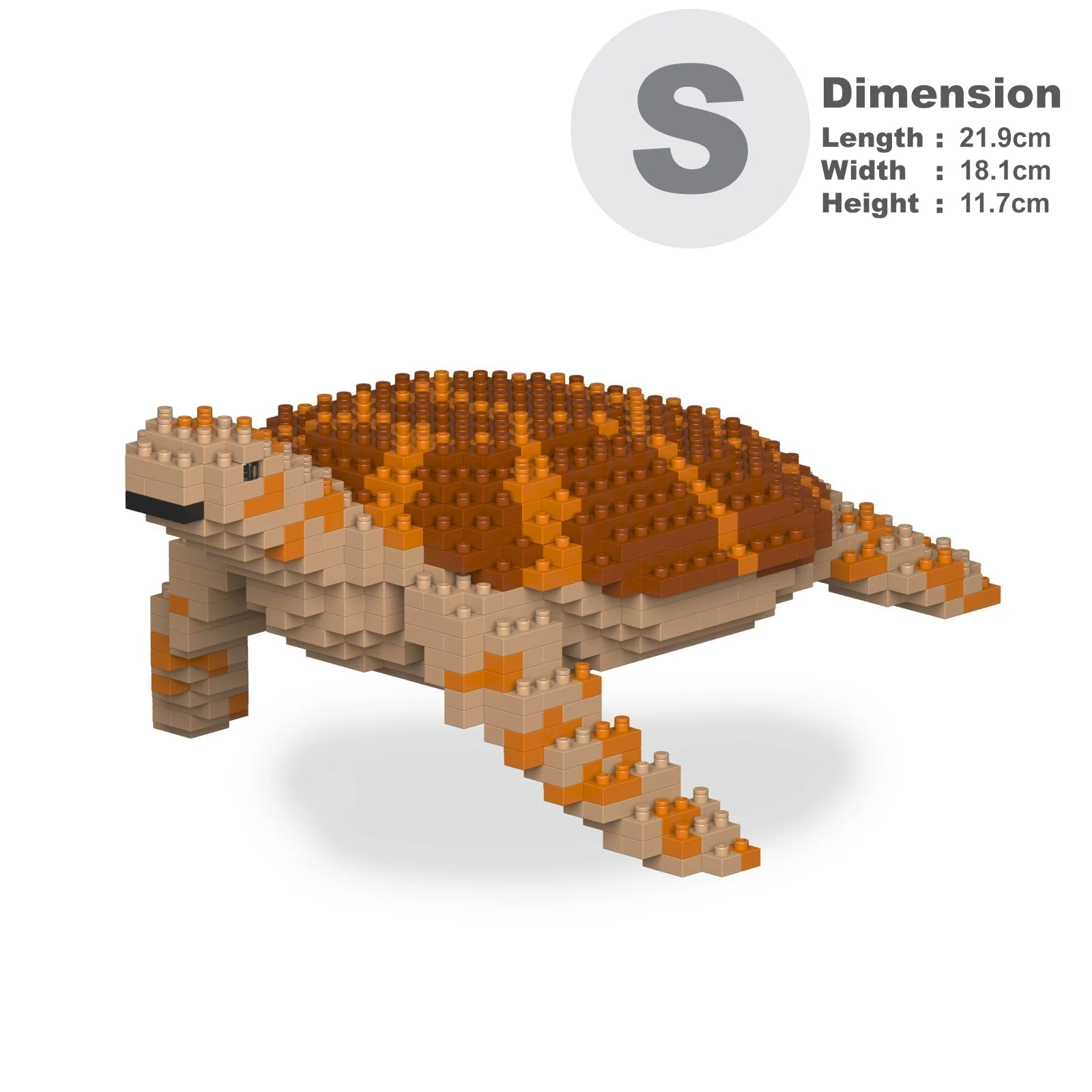 Sea Turtle 01-M01 - Image 2