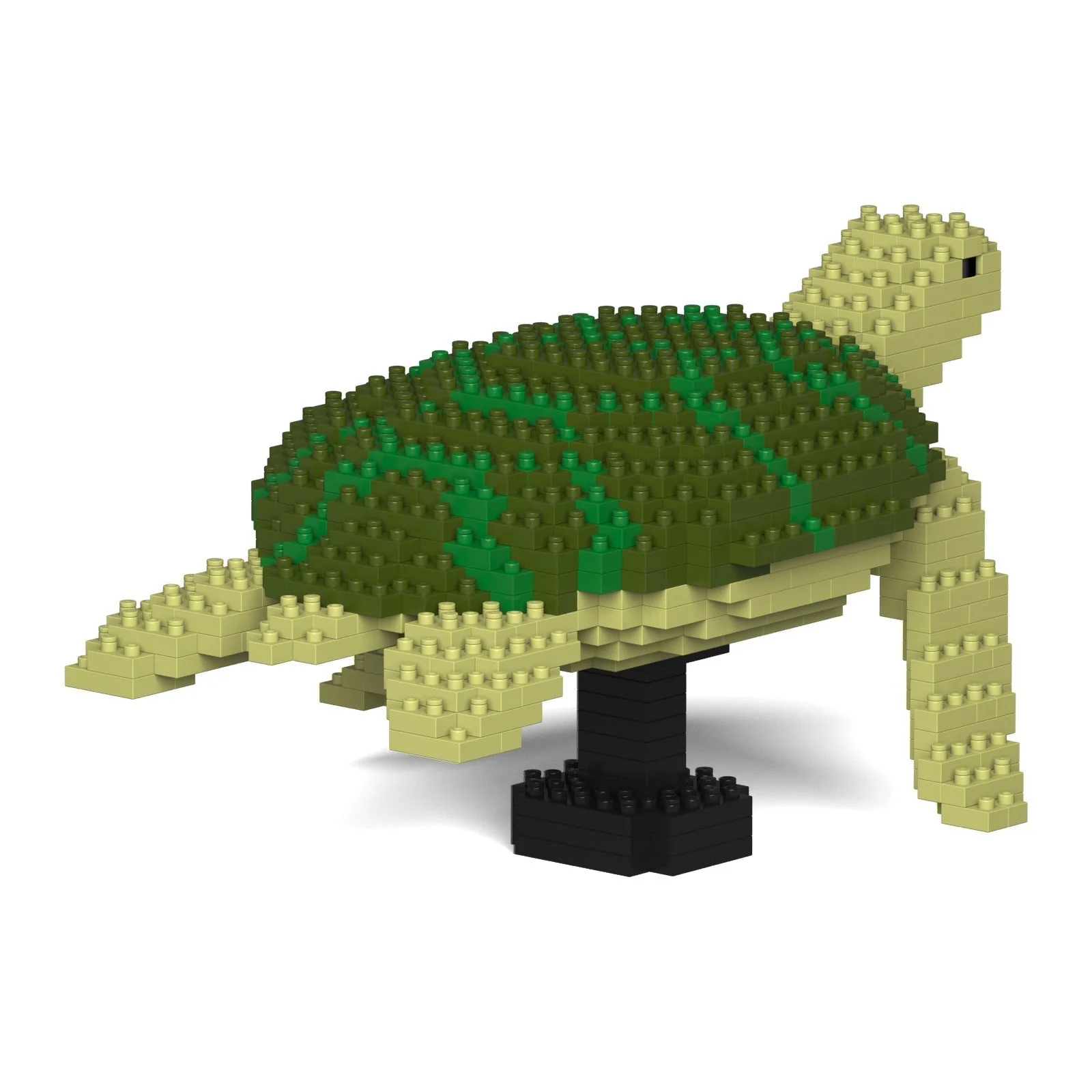 Sea Turtle 01-M02 - Image 4