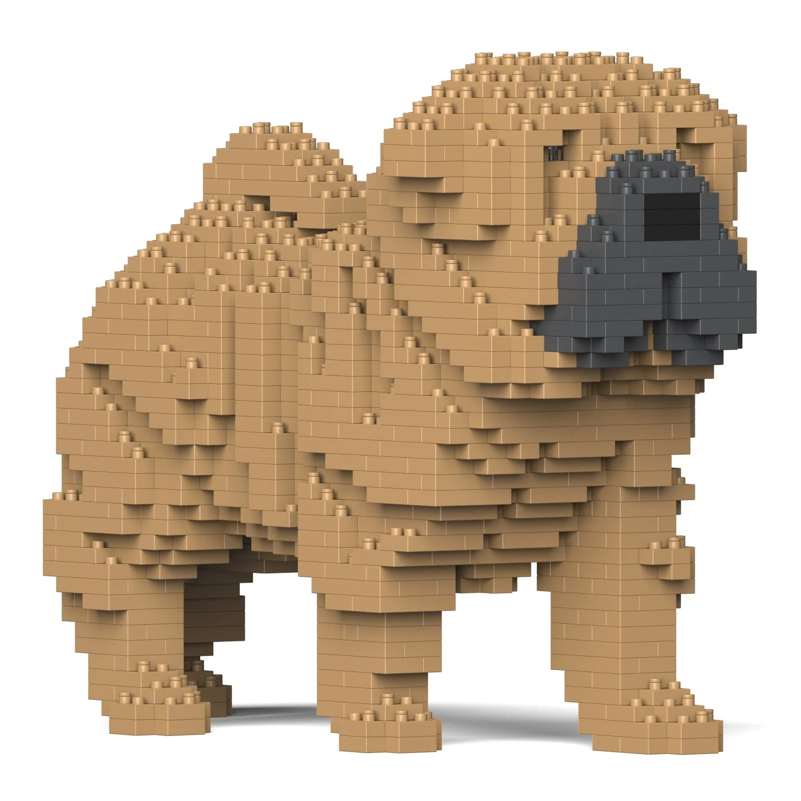 Shar Pei Dog 01-M01 - Image 3