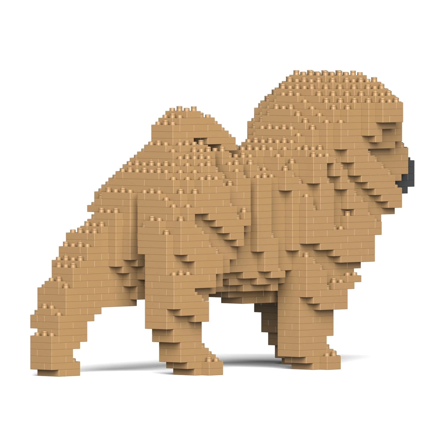 Shar Pei Dog 01-M01 - Image 4