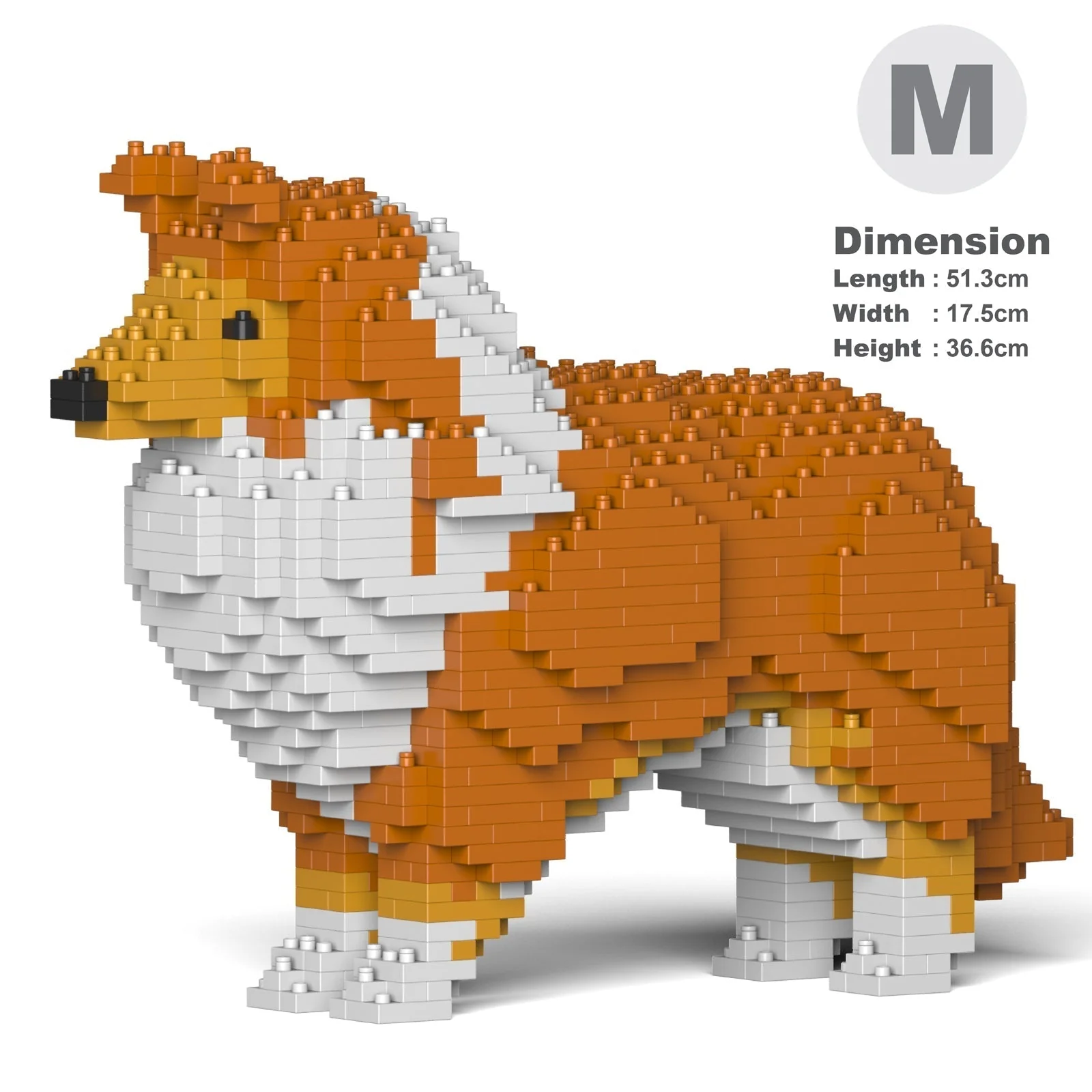 Shetland Sheepdog 01-S13 - Image 5