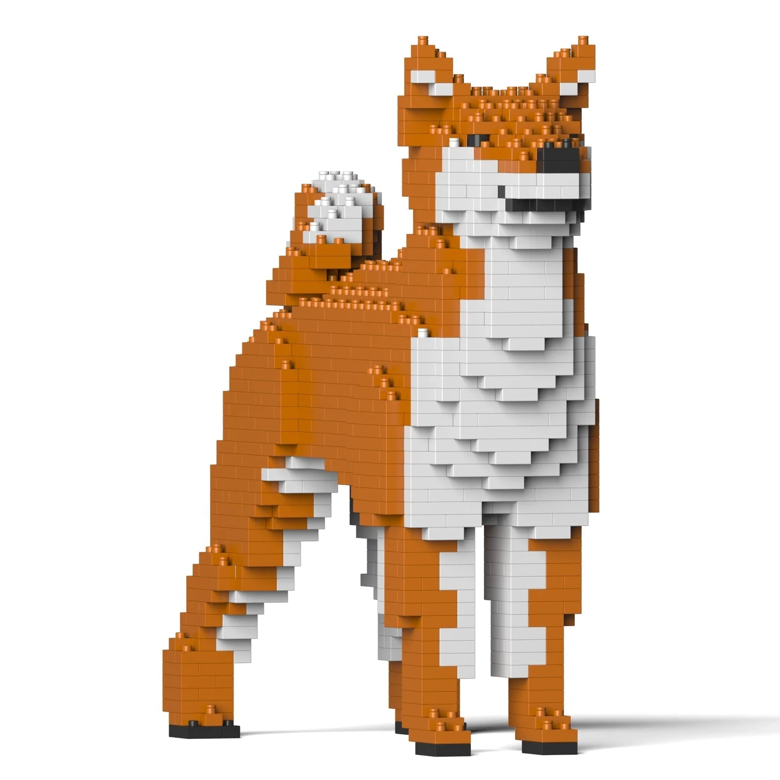 Shiba Inu 01-M01 - Image 3