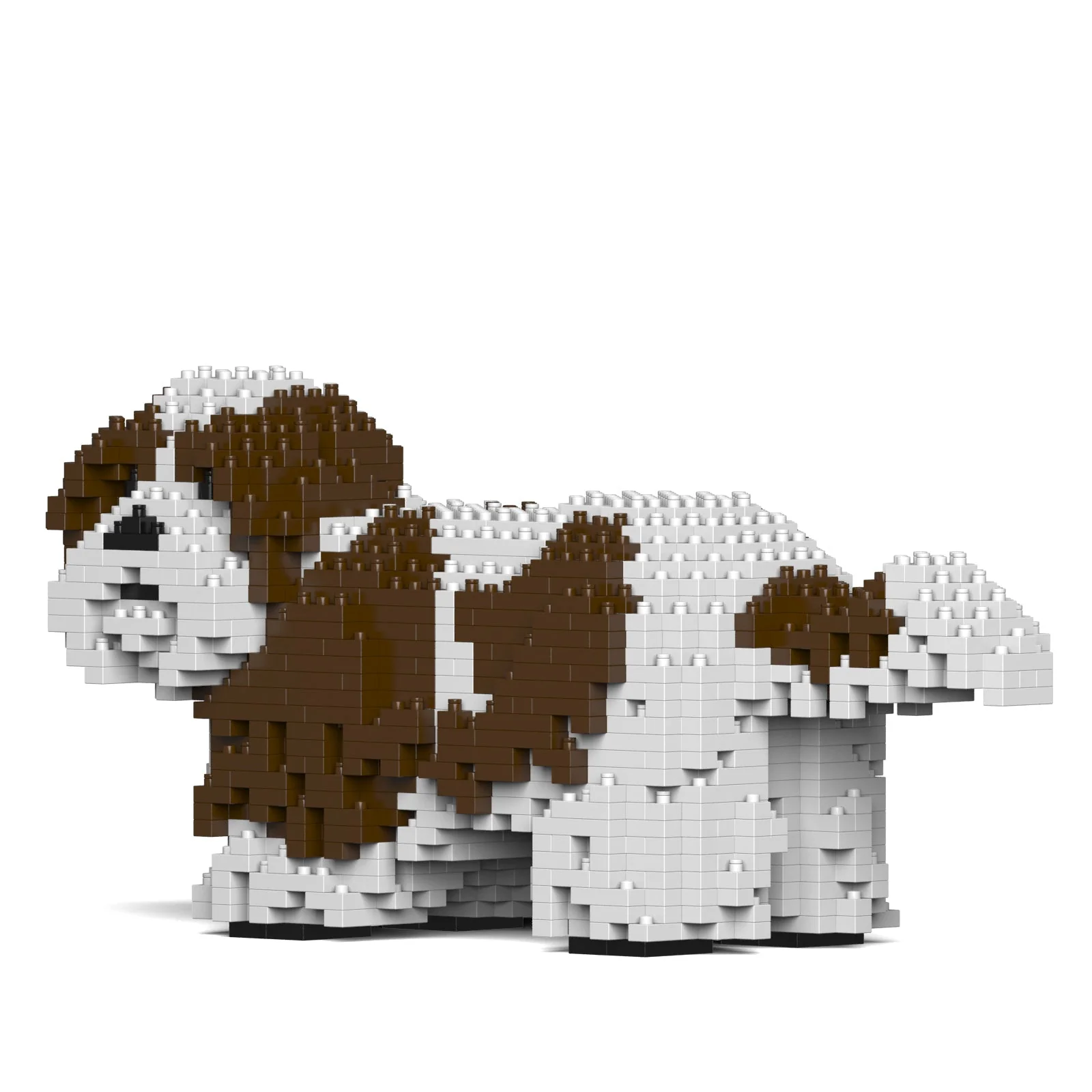 Shih Tzu 01-M01 - Image 3