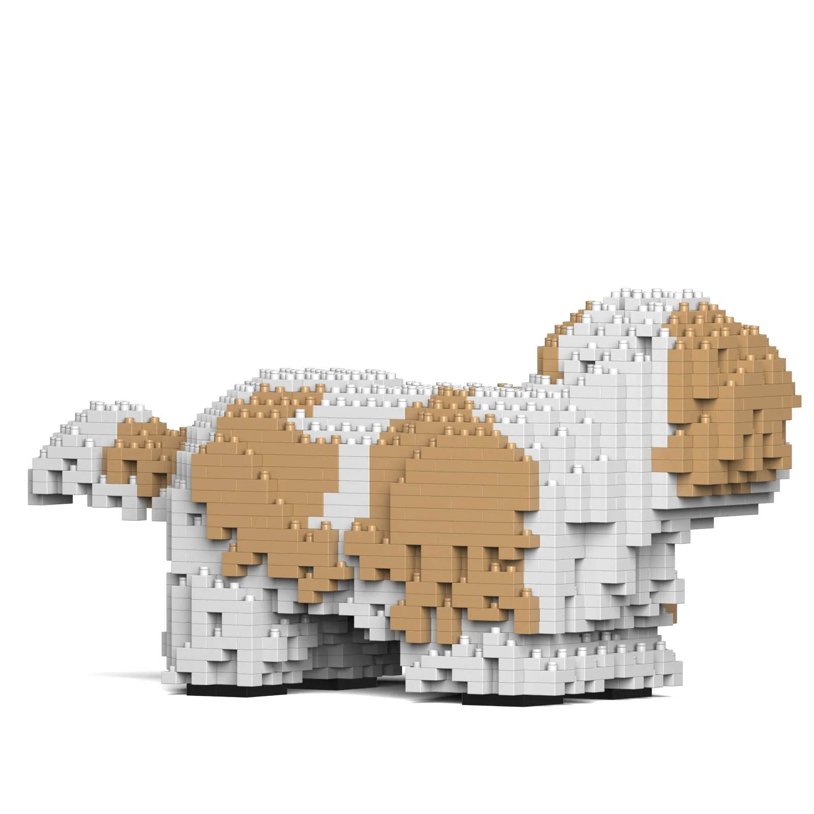 Shih Tzu 01-M04 - Image 4