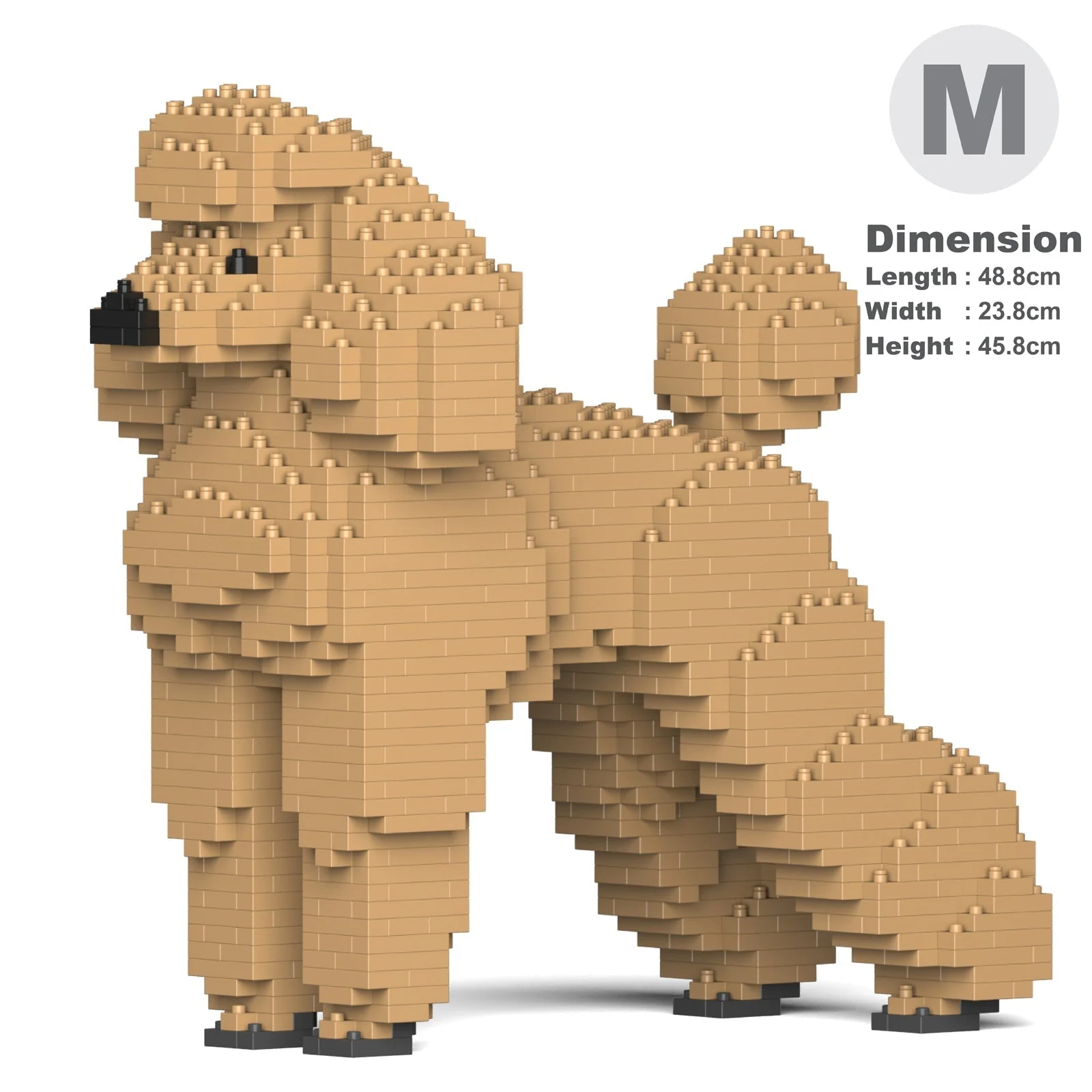 Standard Poodle 01-M02 - Image 5