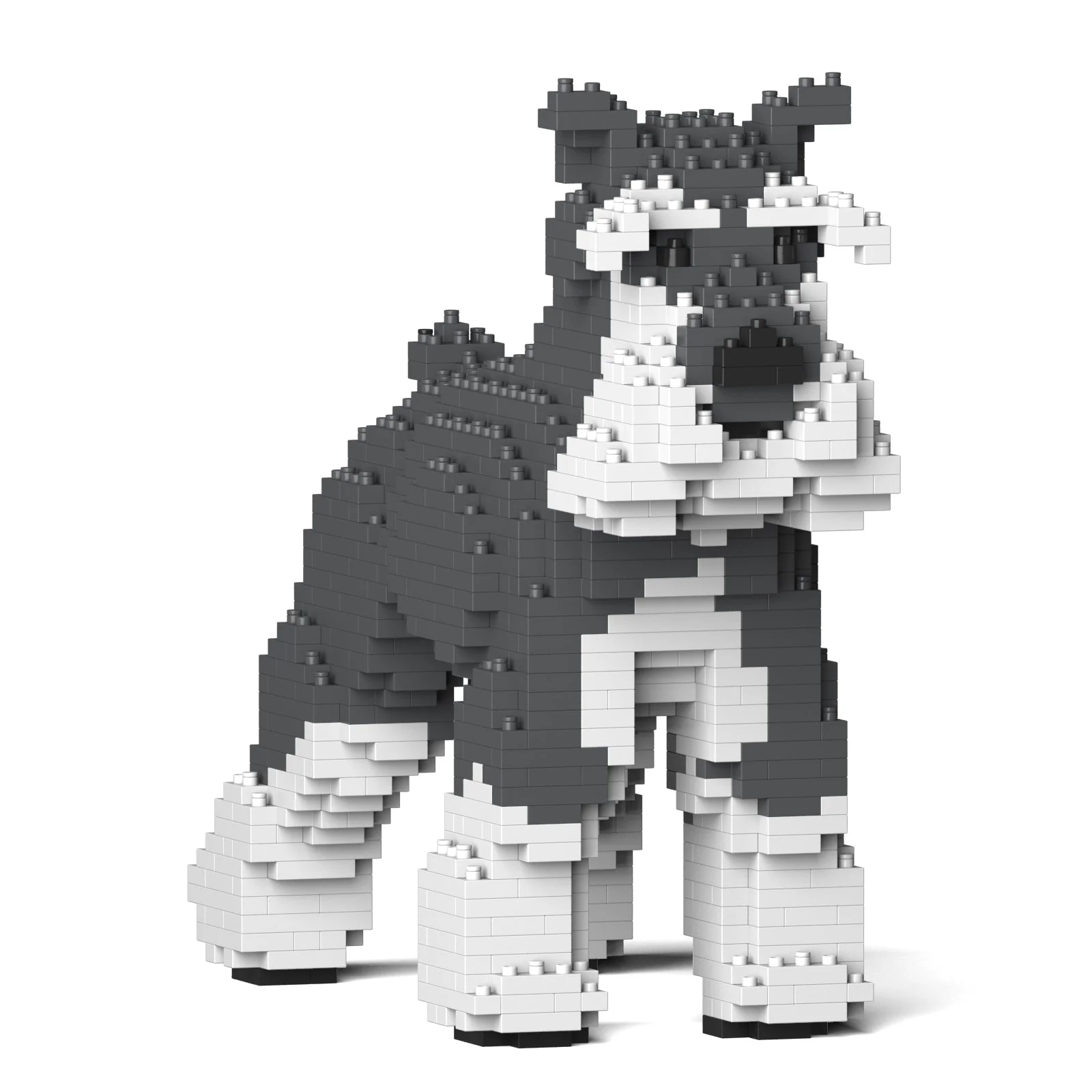 Standard Schnauzer 01-M01 - Image 3