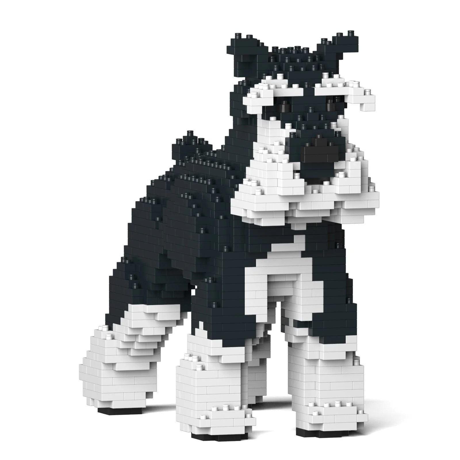 Standard Schnauzer 01-M02b - Image 3