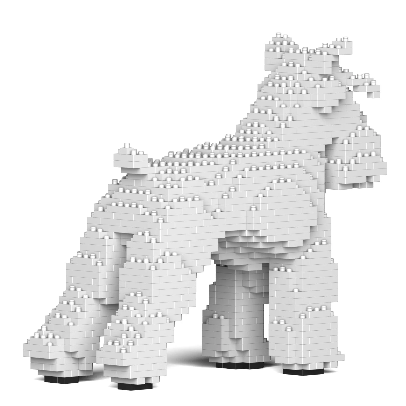 Standard Schnauzer 01-S01 - Image 4