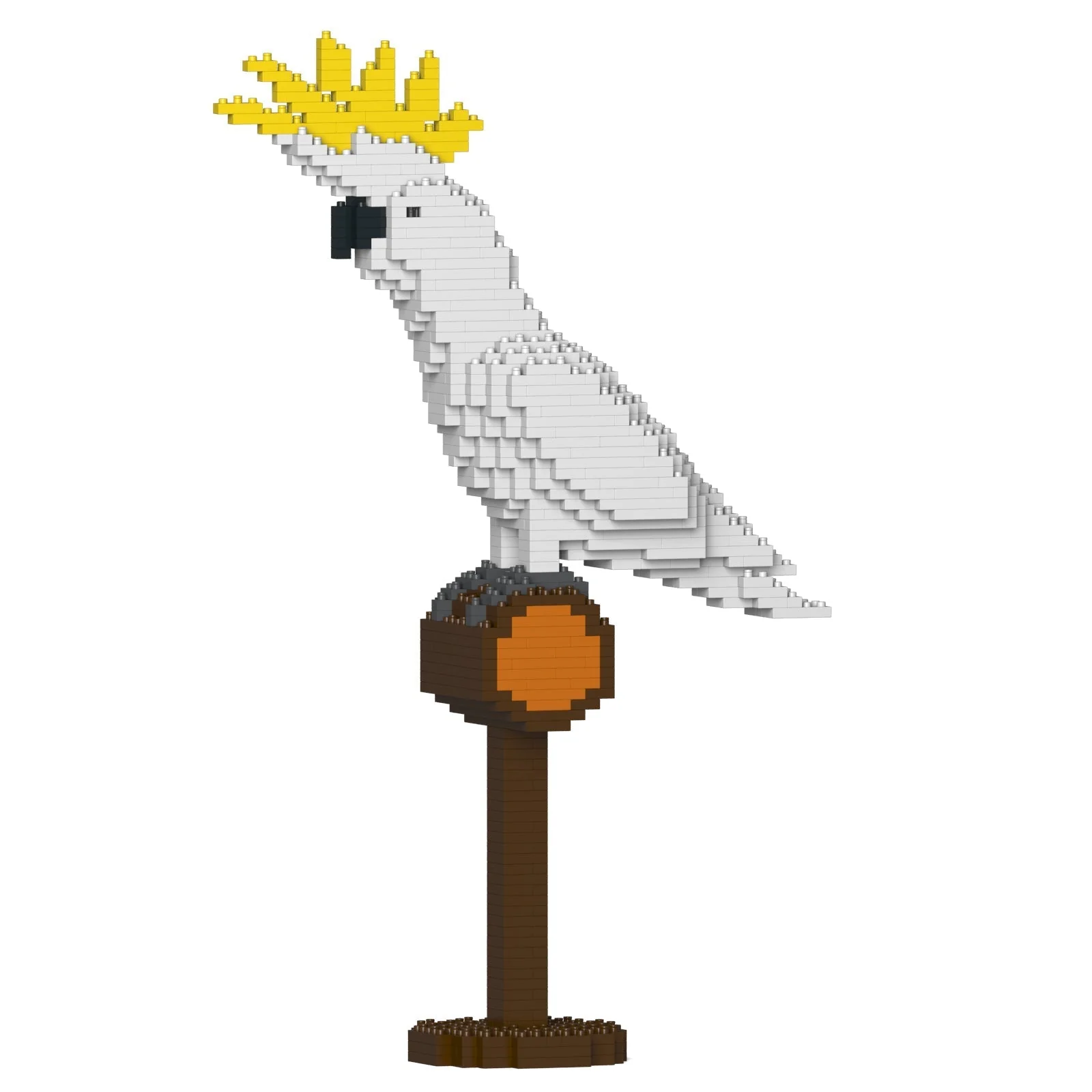 Sulphur-crested Cockatoo 01S - Image 3