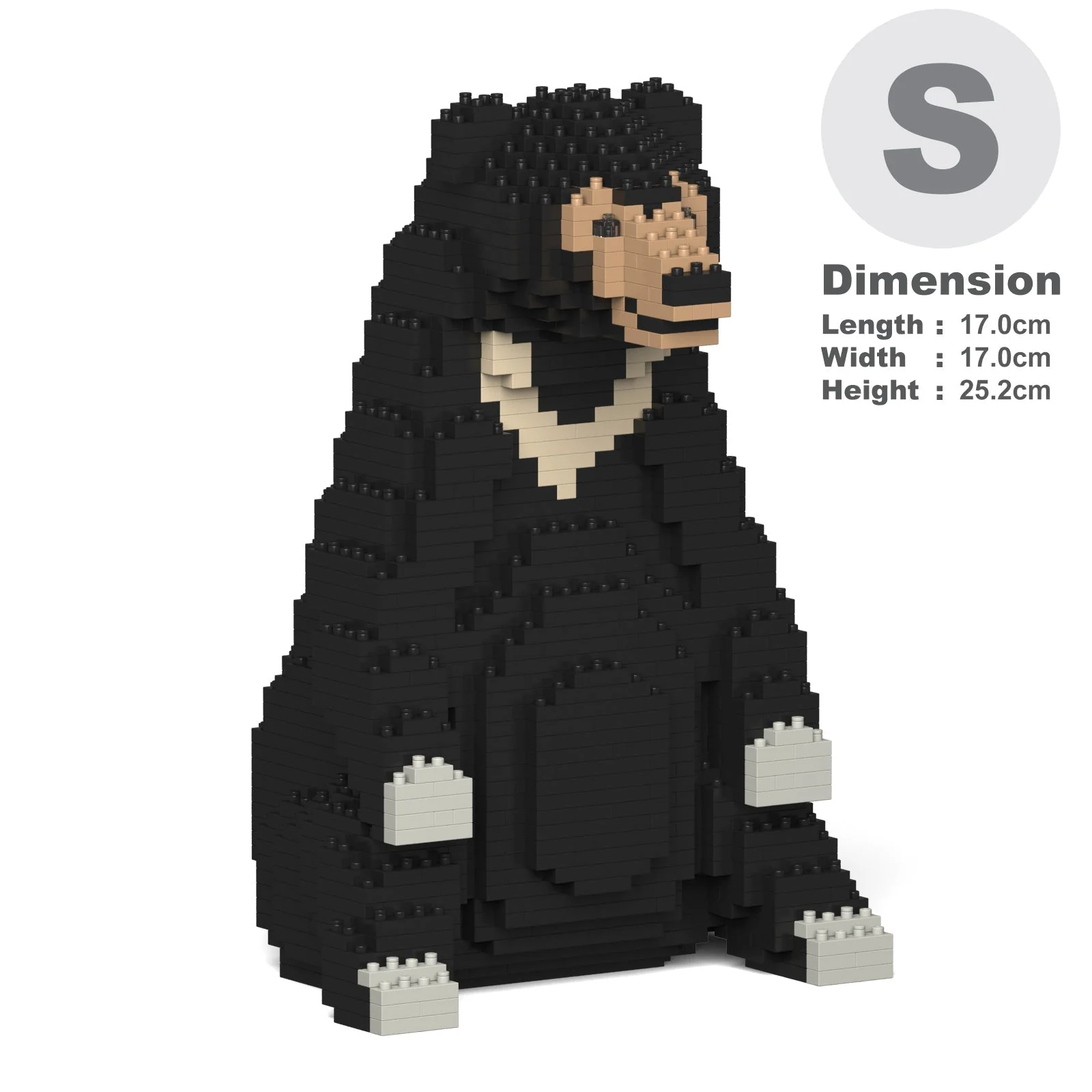 Sun Bear 01 - Image 2