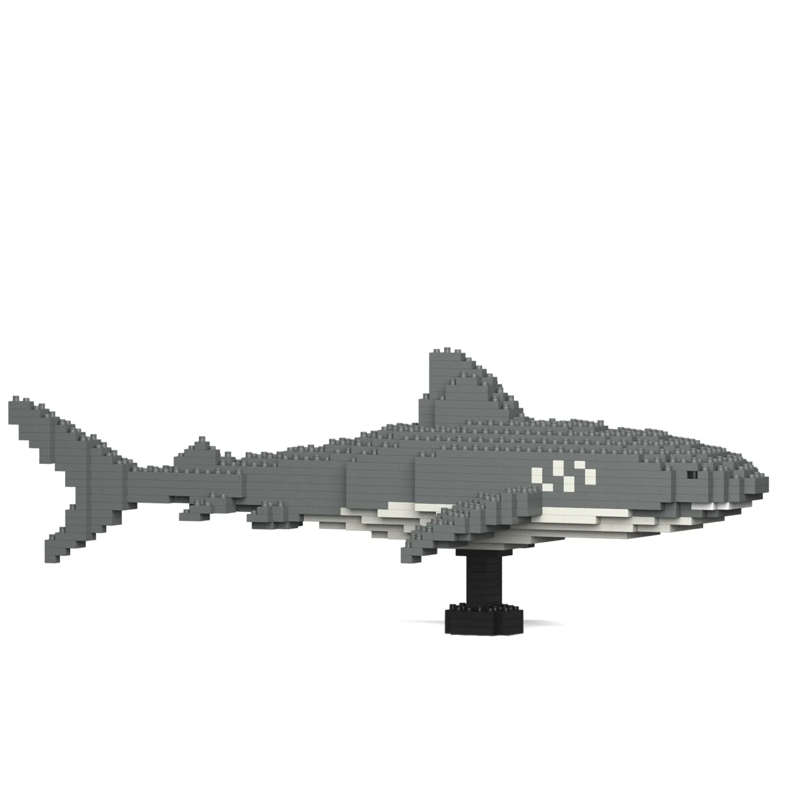 Tiger Shark 01 - Image 3