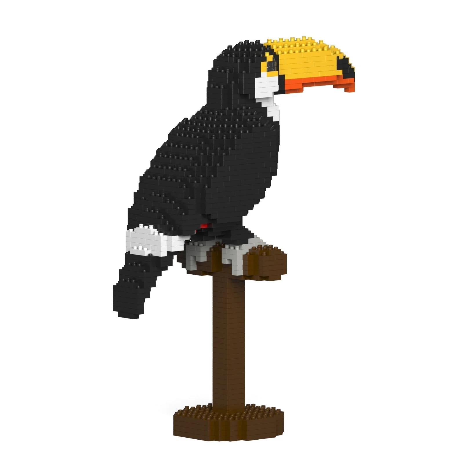 Toco Toucan 01S - Image 4