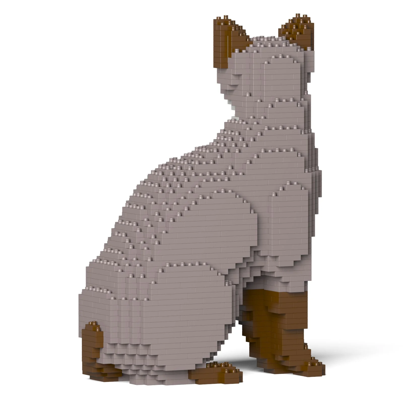 Tonkinese Cat 01S-M01 - Image 3