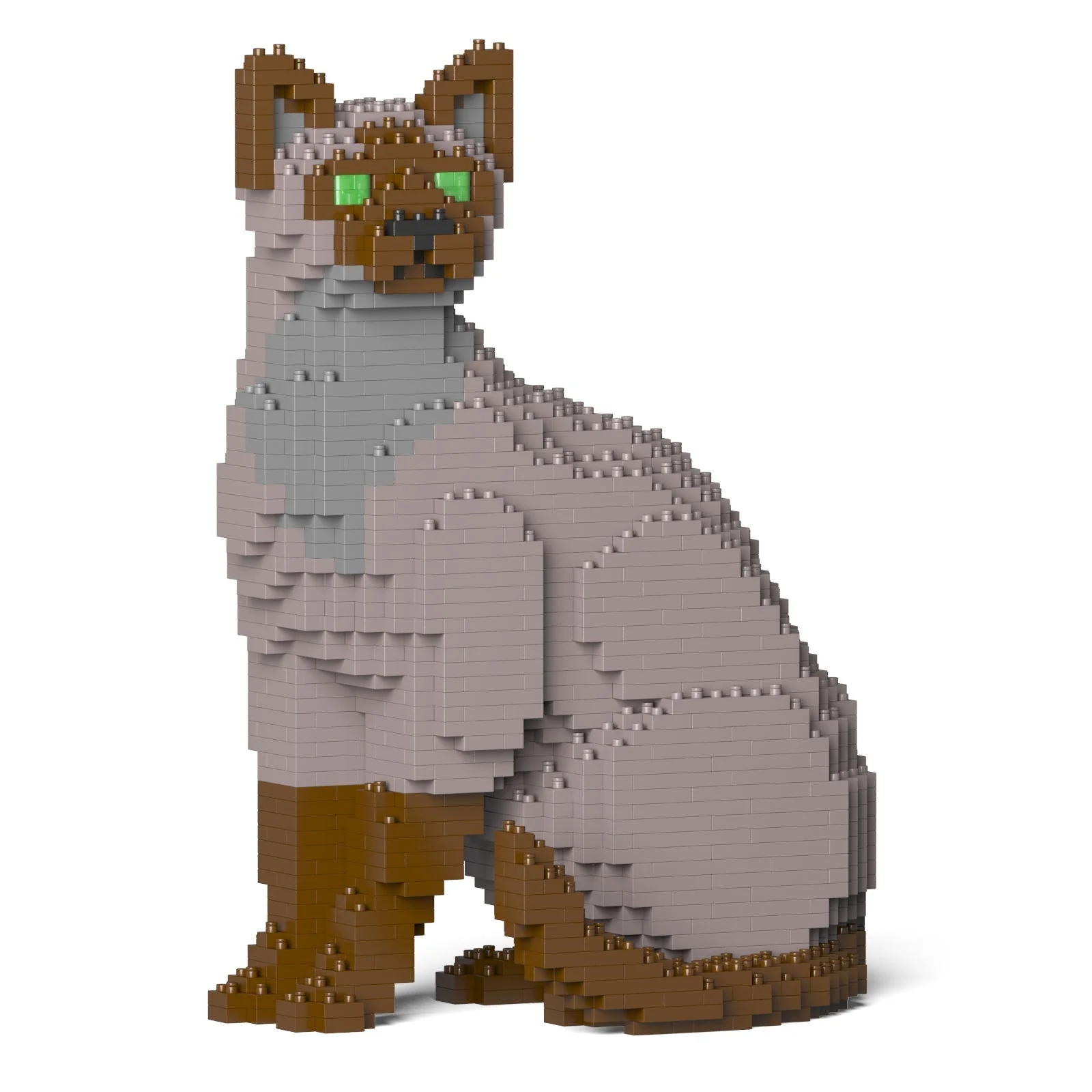 Tonkinese Cat 01S-M01 - Image 4