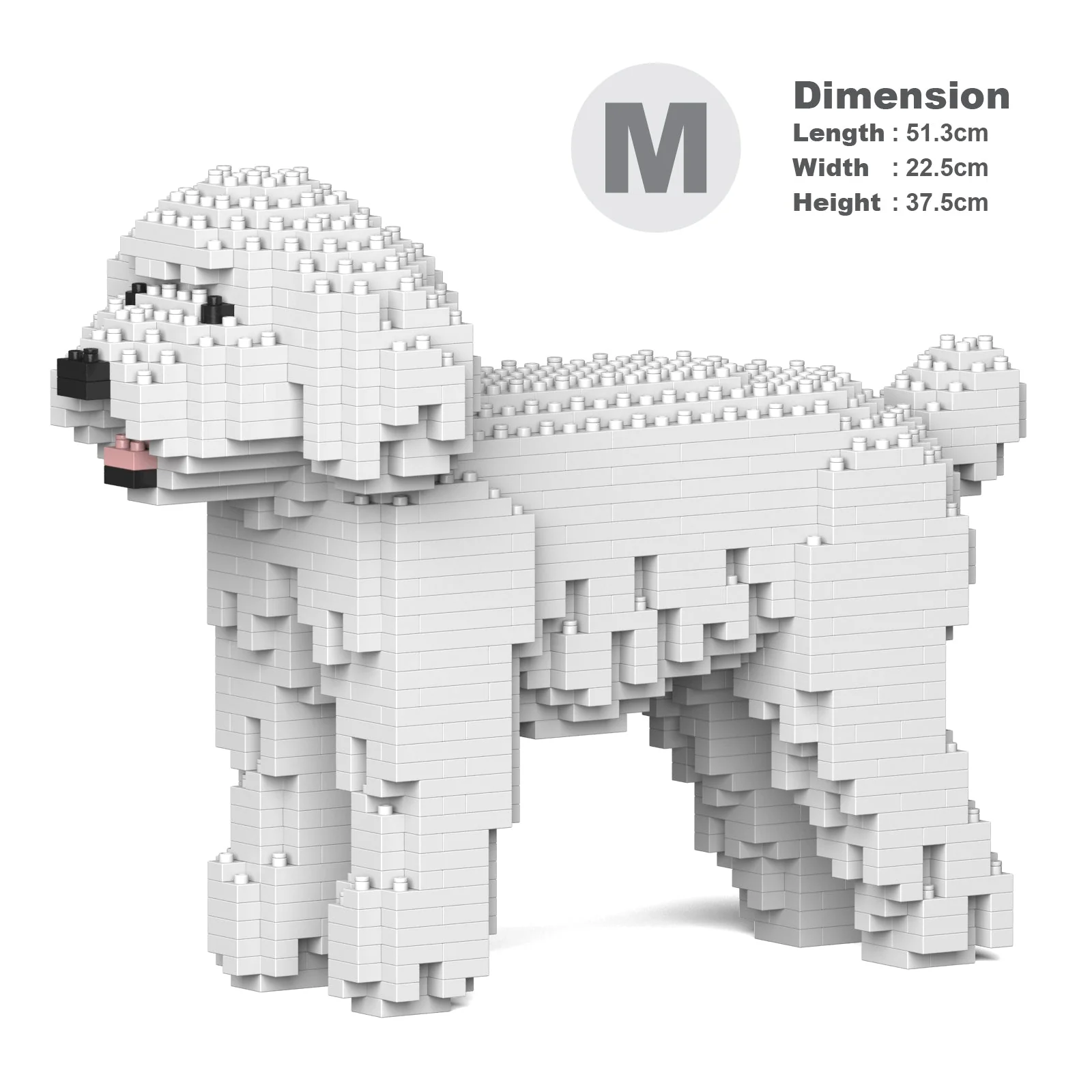 Toy Poodle 01-M01 - Image 5