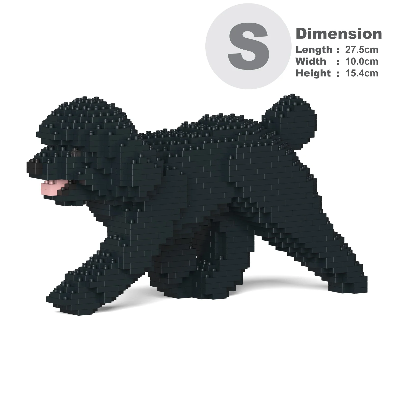 Toy Poodle 02-M02 - Image 2