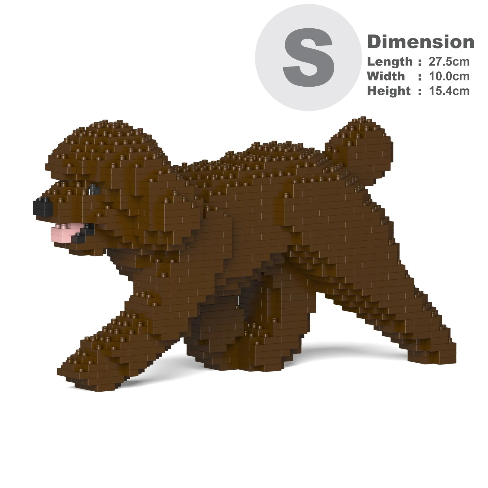 Toy Poodle 02-M05 - Image 2
