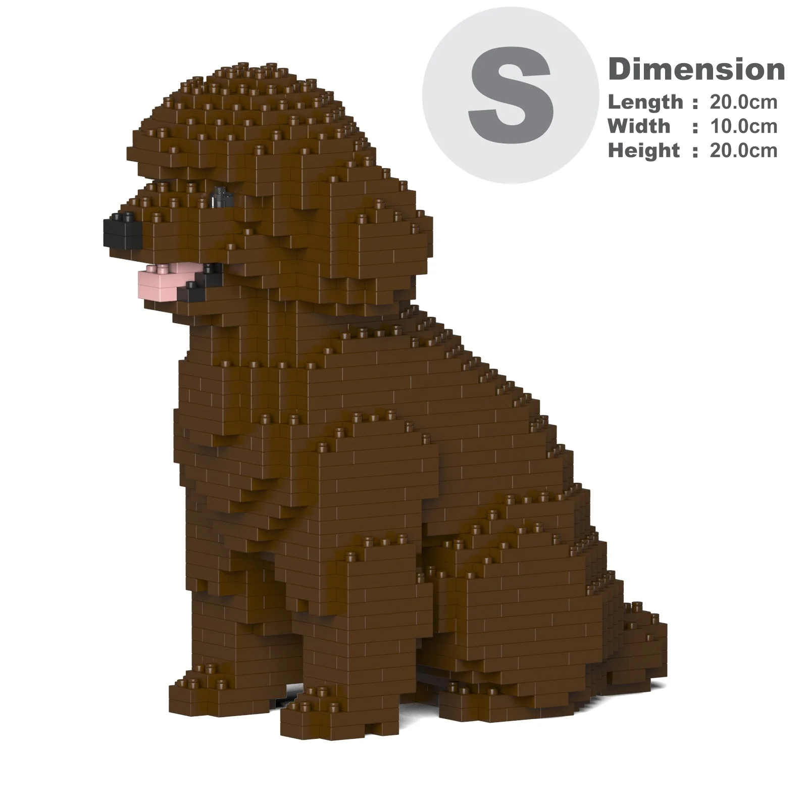 Toy Poodle 03-M05 - Image 2
