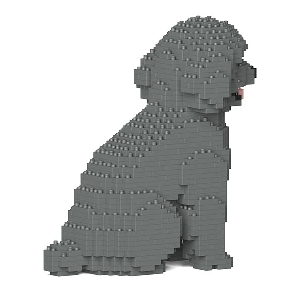 Toy Poodle 03-M06 - Image 3
