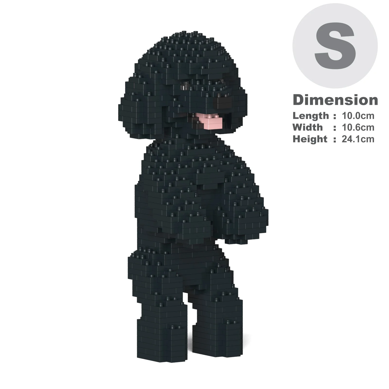 Toy Poodle 04-M02 - Image 2