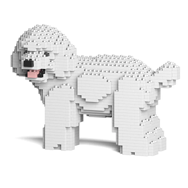 Toy Poodle 05-M01 - Image 3