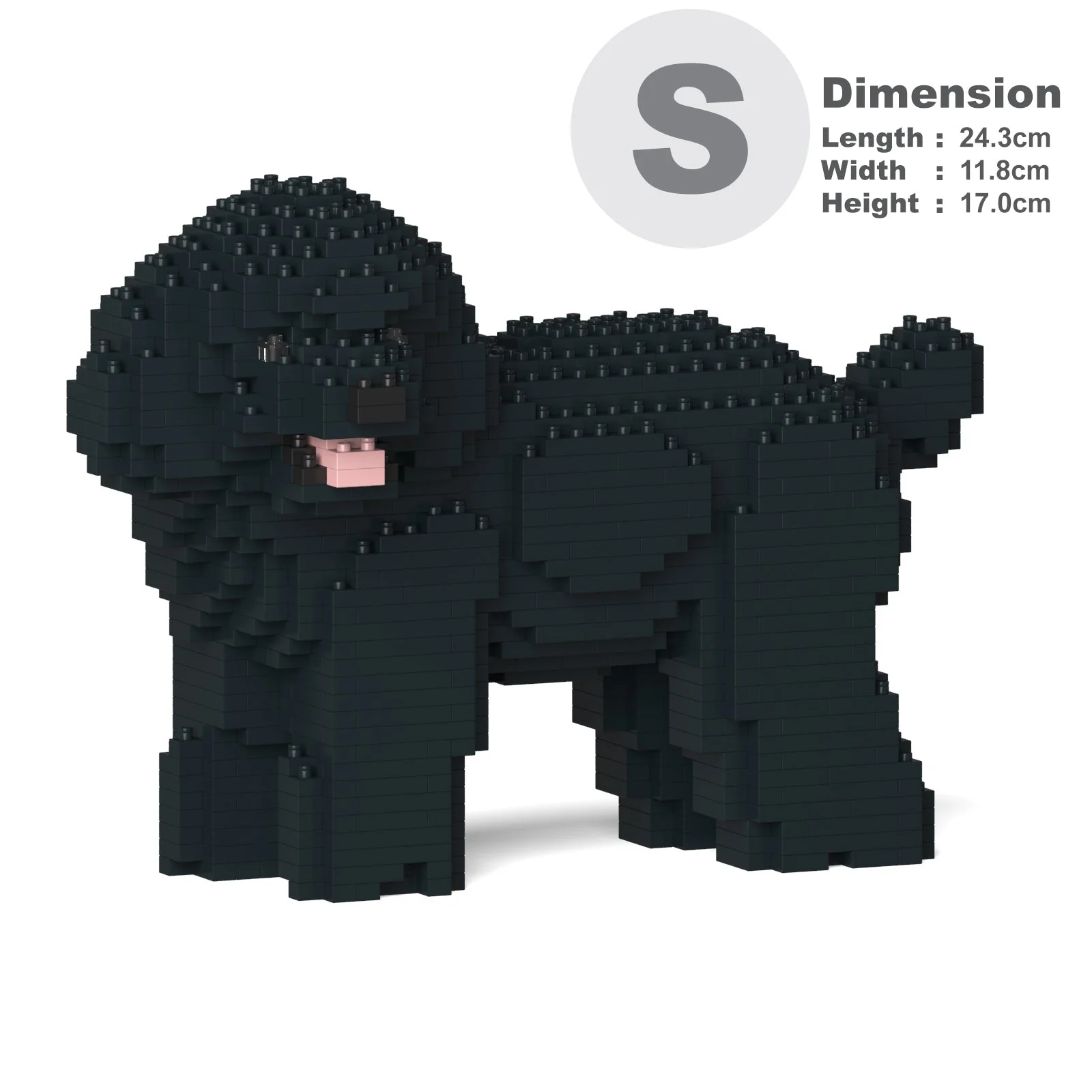 Toy Poodle 05-M02 - Image 2