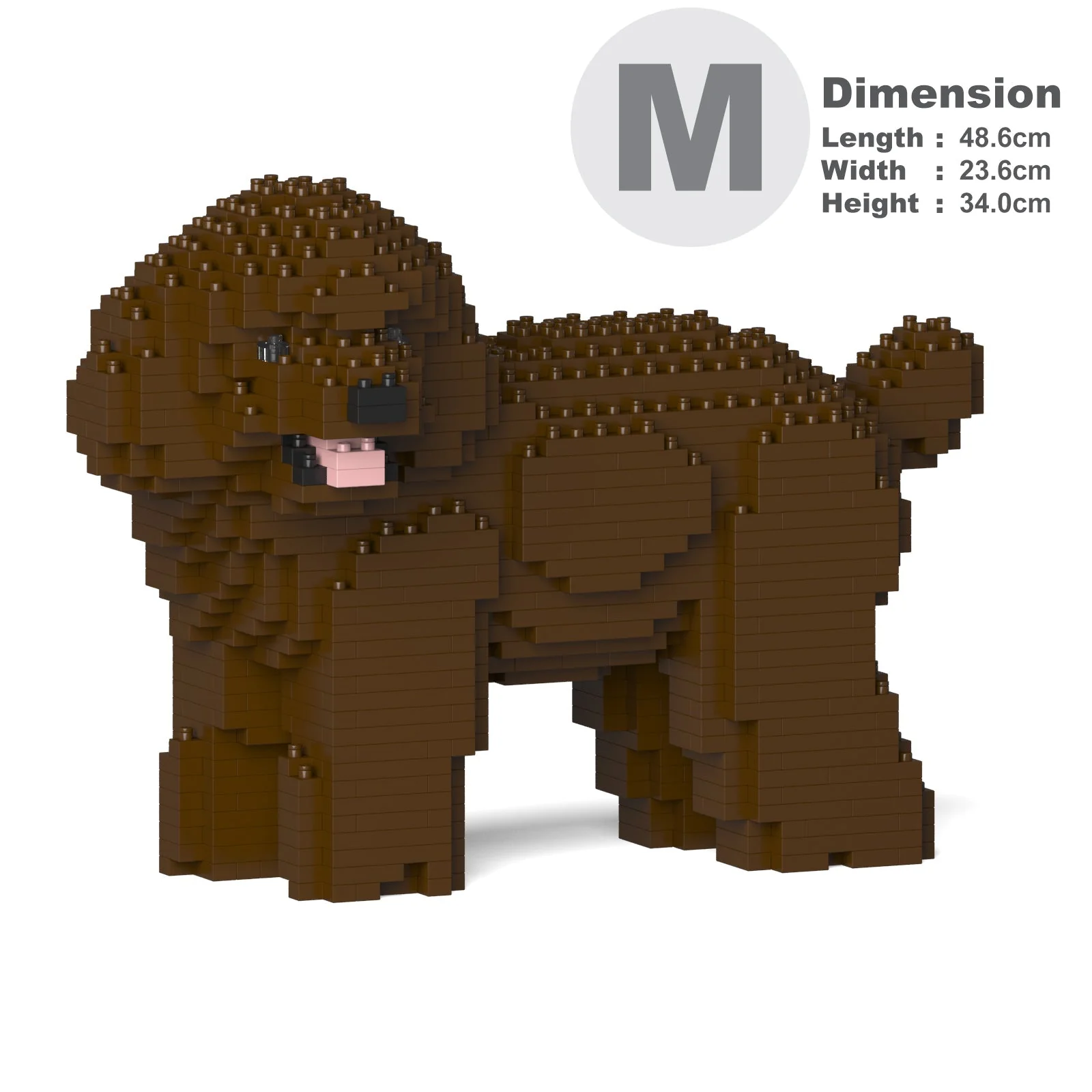 Toy Poodle 05-M05 - Image 5