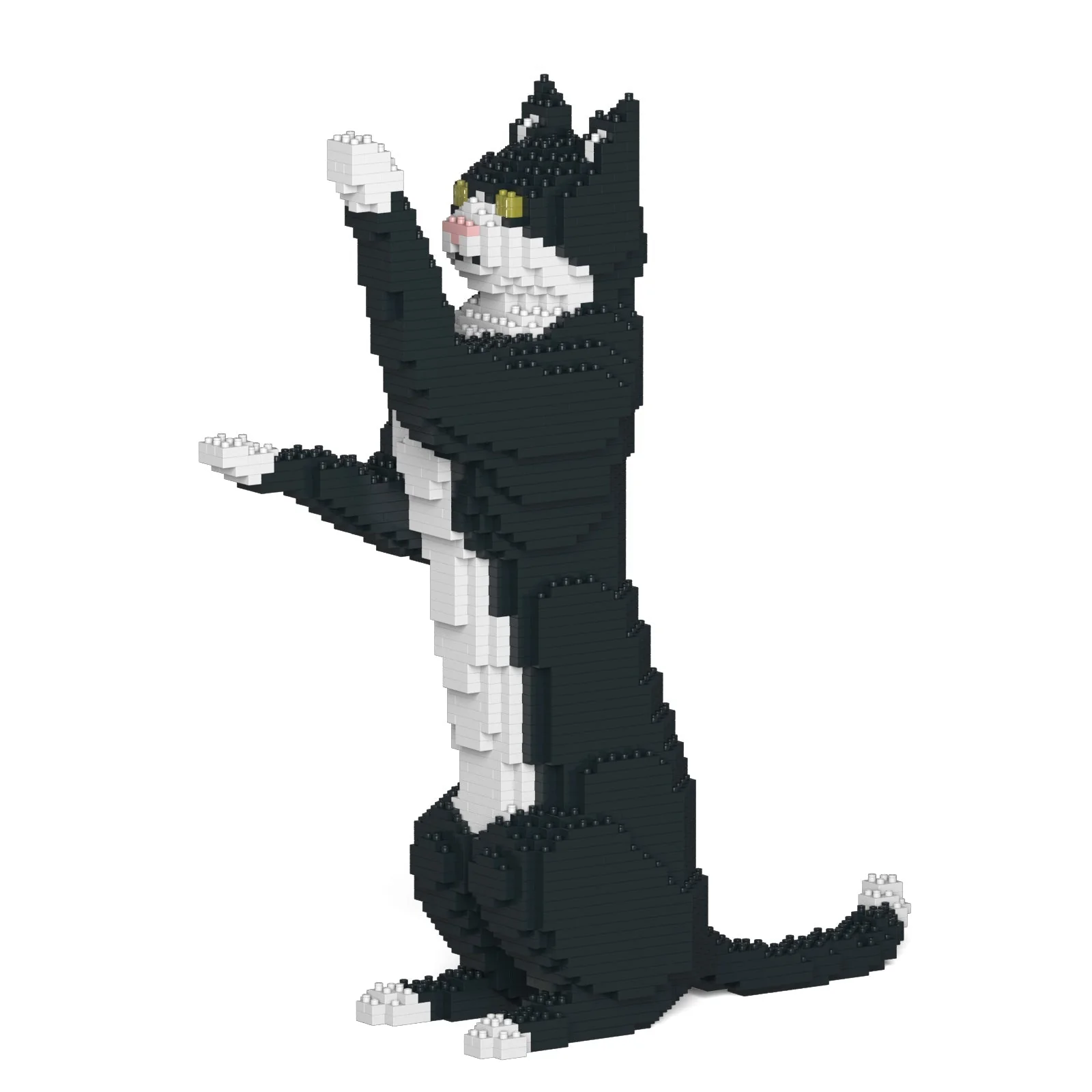 Tuxedo Cat 05S - Image 4