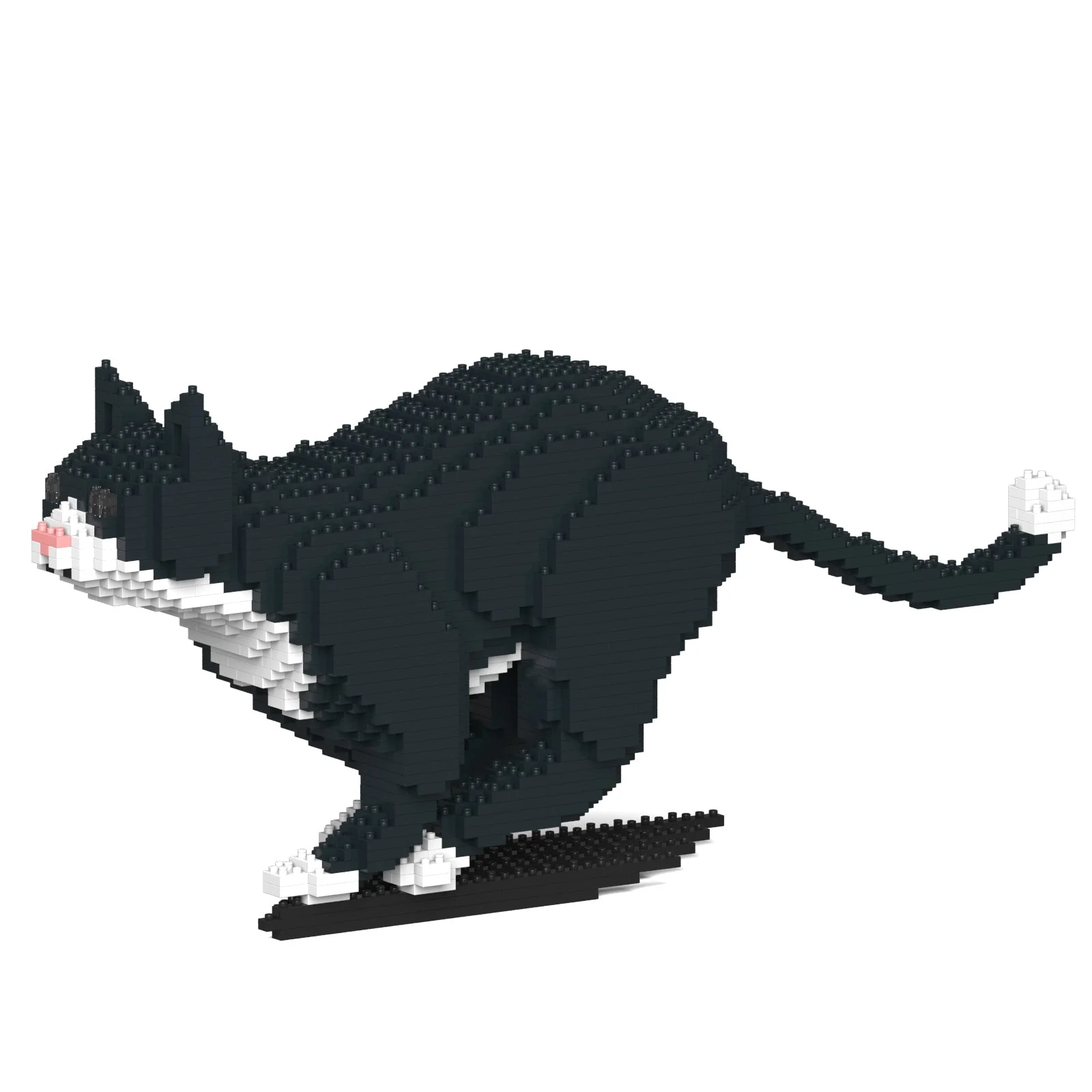 Tuxedo Cat 06S - Image 5