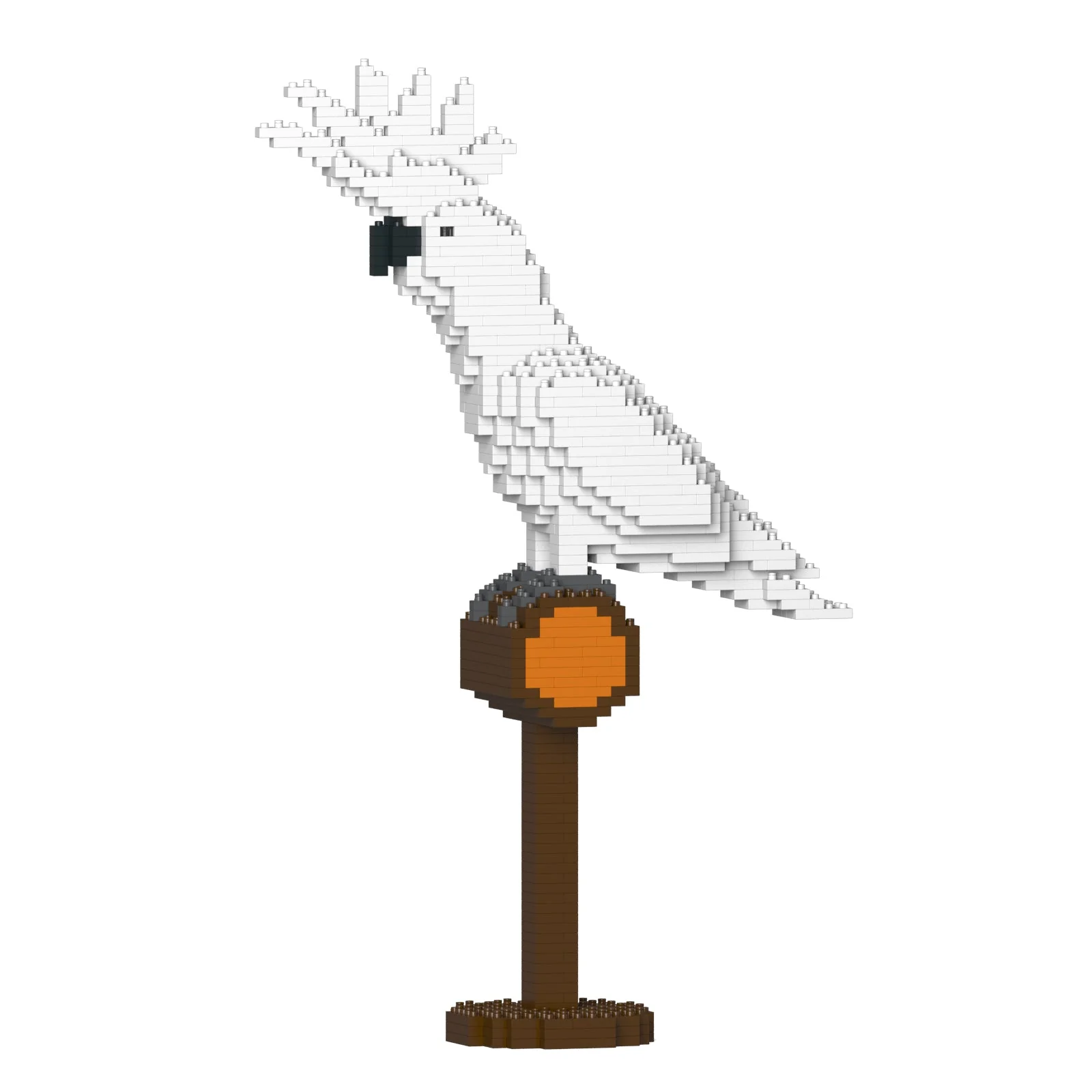 Umbrella Cockatoo 01S - Image 4