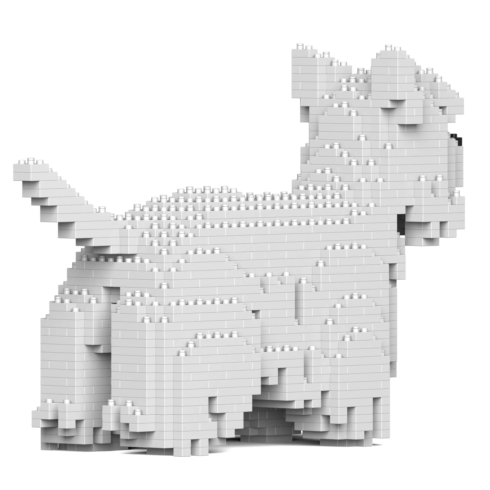 West Highland White Terrier 01 - Image 4